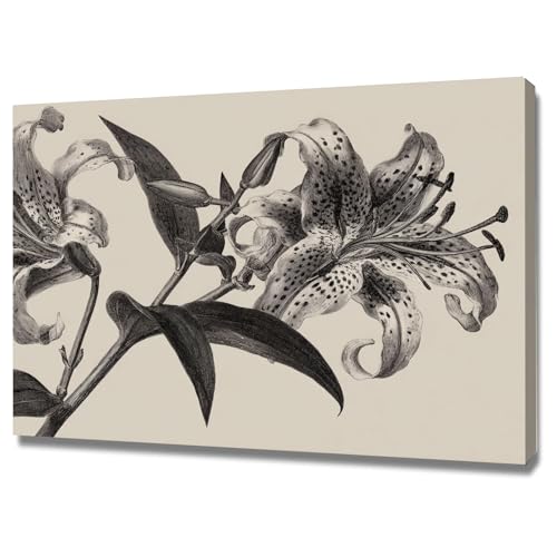 Affiche décorative murale lys noir 30x50cm encadrée pour chambre