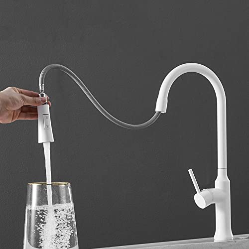 Pommeau de douche extractible pour mitigeur de cuisine blanc double mode