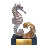 eberin Resin Seepferdchen Pokal 12,5 cm - 3D-Trophäe mit Gravurschild Gold ...
