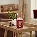 Yankee Candle Apple Wreath Scented Classic 22oz Large Jar Single Wick Candle Over 110 Hours of Burn Time | Holiday Gifts for All