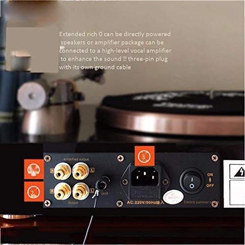 Hi-FI Record Player Turntable with Moving Magnetic Supports 2 Speeds of 33/45 Independent Tone Arm Stable Tracking Deep… - Les Beatles, Paul McCartney, John Lennon, RIngo Starr, George Harrison Hi-FI Record Player Turntable with Moving Magnetic Supports 2 Speeds of 33/45 Independent Tone Arm Stable Tracking Deep… – Image 5