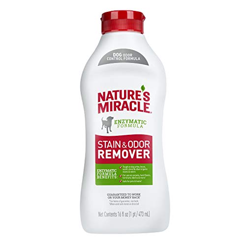 Image of Nature's Miracle Dog Stain and Odor Remover, Everyday Mess Enzymatic Formula, 16 fl oz