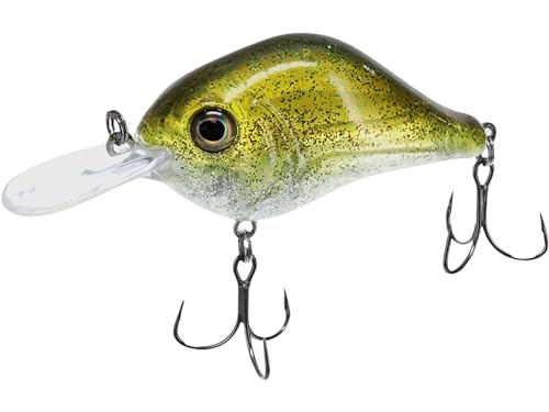 Bill Lewis Lifelike MR-6 Mid-Range MDJ Series 6Ft. Floater Diver 1/2 OZ Crankbait Fishing Wobble Lure for Freshwater