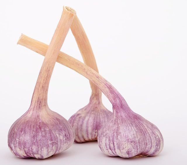 Hybrid Garlic Plant Seeds for Indoor & Outdoor Use - PACK OF 75-image-30