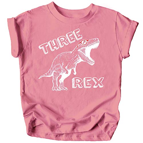 Olive Loves Apple Three Rex Dinosaur 3rd Birthday T-Shirts for Baby Girls and Boys Third Birthday Outfit White on Mauve Shirt 4T