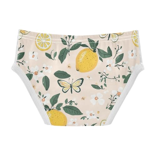 Wusikd Cute Lemons Boys' Underwear Cotton Butterflies Flowers Boys Briefs Soft Toddler Underwear 2T2