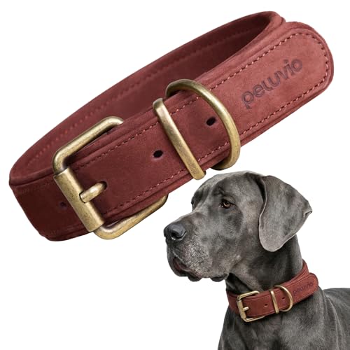 Collier Chien Réglable et Résistant Rexor pour Témoigner de l'Affection à Votre Compagnon - 2
