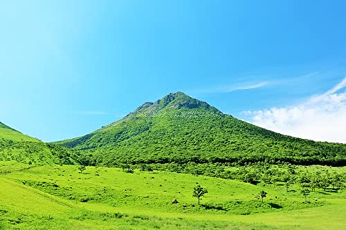 �y���{�̃|�X�g�J�[�hAIR�z�啪�� ��̗R�z�x�̂͂����n�K�L�t�� �B�e/YOSHIO IWASAWA