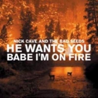 He Wants You/Babe I'm on Fire
