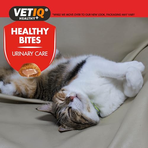 VETIQ Healthy Bites Urinary Care Treats for Cats & Kittens 3+ Months, with Cranberry, Taurine and Prebiotic Fibre, 65 g (Pack of 8) - Image 6
