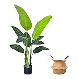 【Alta qualità e resistente】: questo albero artificiale è realizzato in materiale di alta qualità, realistico, impermeabile ed ecologico. Il vaso da fiori nero è realizzato in materiale PP duro e iniettato con cemento per evitare il ribaltamento da parte di bambini o animali domestici. Il nostro albero artificiale viene fornito con un vaso di fiori di paglia da 20 cm. Puoi anche metterlo nel tuo vaso, che potrebbe adattarsi meglio al tuo spazio.