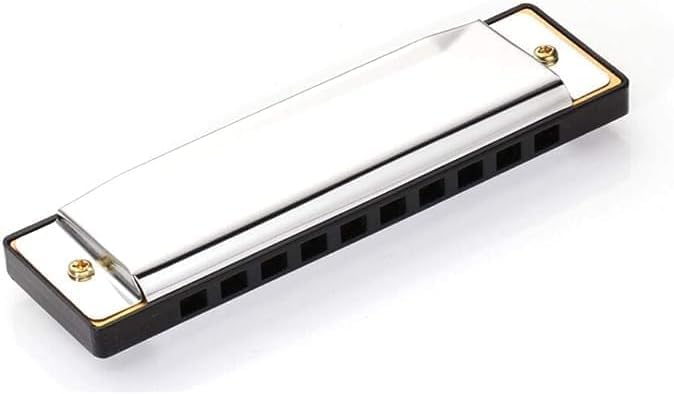 Silver 10 Holes 20 Tones Diatonic Harmonica Key of C with Blue Case,Rock w Case Stainless Steel Diatonic Harmonica