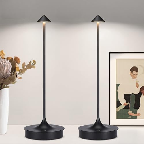 Cordless Lamp Gladle LED Desk Lamp, Battery Operated Table Lamps  Rechargeable Dimmable Reading Light Timer Adjustable Gooseneck Touch Office  Usb Charg