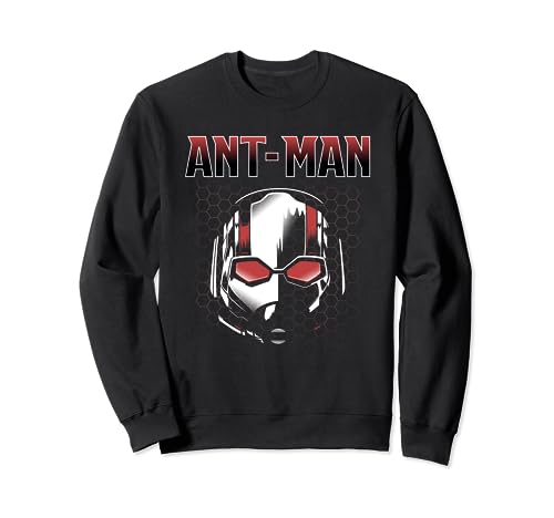AntMan and The Wasp Scott Mask Hexagon Sweatshirt