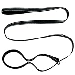 Anti Pull Dog Lead, Figure of 8 Training Leash with Soft Padded Handle, Nose Support & Adjustable Slip Rope for Small Medium Dogs Walking