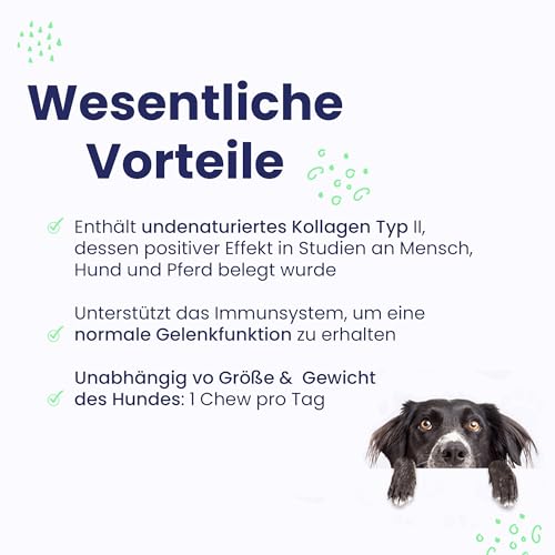 FLEXADIN ADVANCED® Hund | Für die Gelenkgesundheit | undenaturiertes Kollagen Typ II & Boswellia – 60 Gelenkleckerli