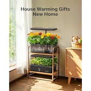 iDOO Hydroponics Growing System Kit 12 Pods, Christmas Gifts Gardening Gifts for Women Mom Dad Kids, Indoor Herb Garden with LED Grow Light for Home School, Indoor Plants Good for Mental Health iDOO Hydroponics Growing System Kit 12 Pods Christmas Gifts Gardening Gifts for Women Mom Dad Kids Indoor Herb Garden with LED Grow Light for Home School Indoor Plants Good for Mental Health