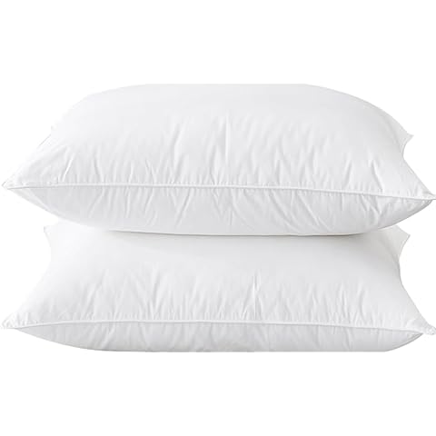 Luxury Goose Down Pillows 2 Pack Cover