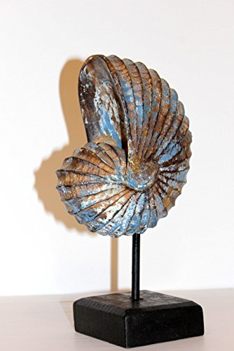 Home Decor - SHOWPIECE/Tabletop Accent - Washed Wooden Conch Shell ON ...
