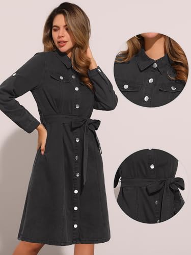 Image of Allegra K Denim Dress for Women's Long Sleeve Button Down A-Line Belted Classic Jean Dresses