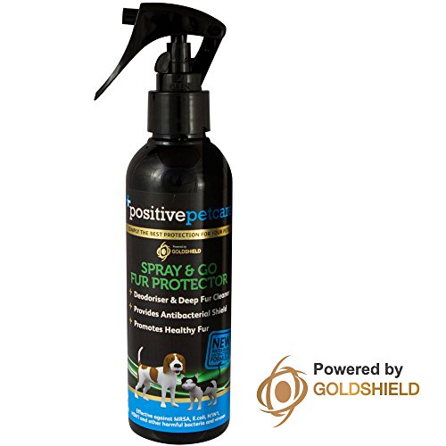 7 Day Dry Dog Shampoo, Fur Protector and Conditioner, Spray & Go, New Long-Lasting Anti-Bacterial Formula, for Grooming Dogs, Cats and small animals, Water-Based, 100% Safe for Pets - 200 ml by Positive Petcare