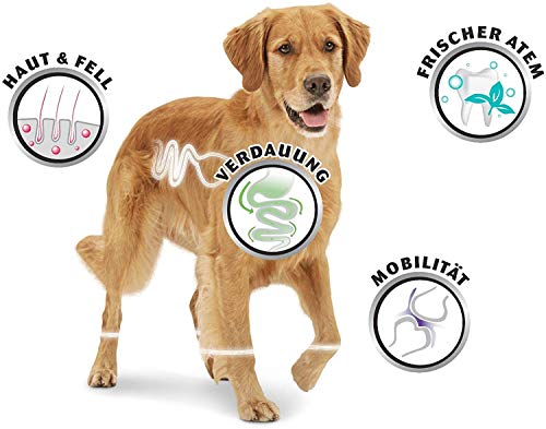 8in1 Fillets Pro Digest Hunde-Snack mit Hähnchen, funktionale Leckerlis für Hunde, unterstützt die Verdauung, 80 g Beutel