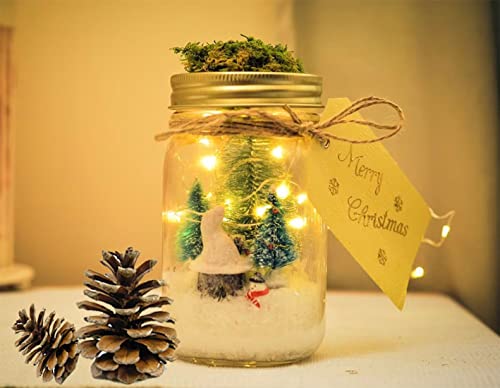 Angmln Upgraded Solar Mason Jar Lid Lights, 10 Pack 30 Led Fairy Star Firefly String Lids Lights Including (10 Pcs Hangers),For Wedding Patio Garden Party Decorations (No Jars) #TOP3