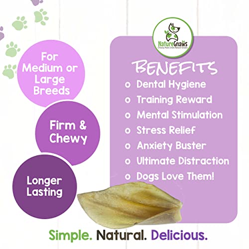 Nature Gnaws Cow Ears For Dogs - Premium Natural Beef Dental Chews - Long Lasting Dog Chew Treats For Aggressive Chewers - Rawhide Free 50 Count (Pack Of 1) #TOP2
