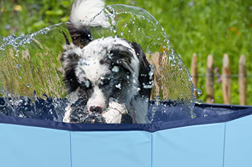 Haustier Hundepool - 120 x 30 CM - Mittlere Hunderassen - Faltbares Hundebad - Rutschsicherer Boden - mit Entleerventil - Blau