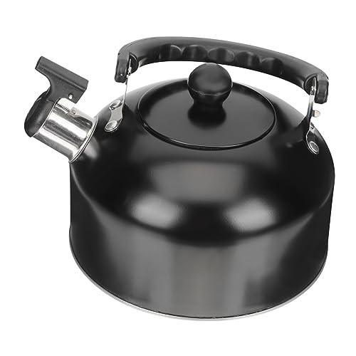 Bouilloire à sifflet sur la cuisinière, bouilloire à thé, sur la cuisinière, théière fleurie, théière sifflante, bouilloire à eau, sachet de thé, théière pour distributeur en acier inoxydable, 3l Co