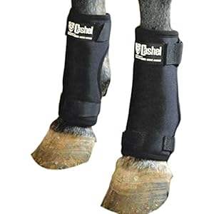 Cashel Stall Sore Boots for Horses (Pair)