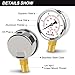 AetralYB 0-100 Psi 2-inch Pressure Gauge, Glycerin Filled, 1/4