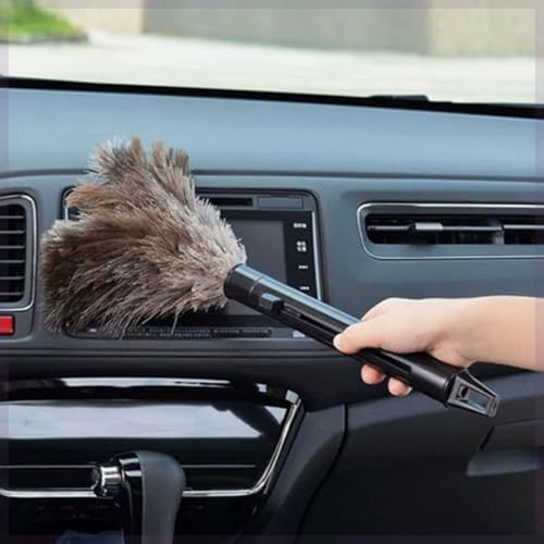 La Mejor Selección de Plumeros para comprar online. 24 Imagen adicional