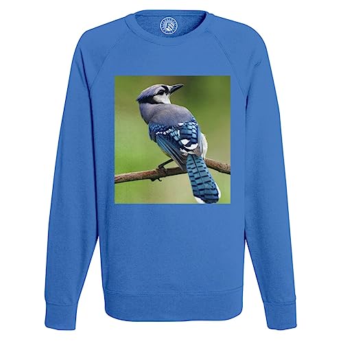 Sweatshirt Homme Geai sur une Branche pour Vos Sorties en Forêt