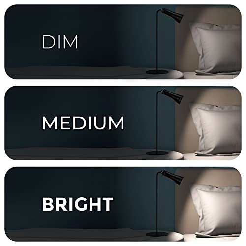 Xech Table Lamp for Study with Multiple Attachments - Image 6