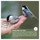 wildtier liebe Körner Futtersäule, Vogelfutterspender 52cm, Grün - aus rostfreiem Metall I Vogel-Futterstation, Vogelfutter-Säule, Wildvögel Futtersilo I Ganzjährige Vogelfütterung