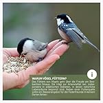 Körner Futtersäule, Vogelfutterspender 38cm, Silber - aus rostfreiem Edelstahl I Vogel-Futterstation, Vogelfutter-Säule, Wildvögel Futtersilo I Ganzjährige Vogelfütterung – Bild 5