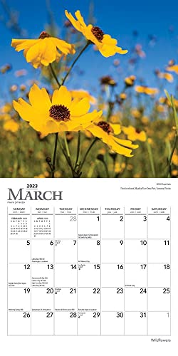 Wildflowers | 2023 7 X 14 Inch Monthly Mini Wall Calendar | Browntrout | Flower Outdoor Plant #TOP2