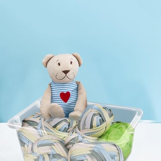 Plastic storage bins with lids, 6 Pack Stackable storage containers,5 Qt Clear storage organizer Small cubby storage,Stackable Cubby Containers (11.8x7.87x4.9) (Clear)