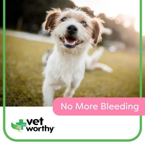 Vet-Worthy-Styptic-Powder-for-Dogs-Wound-Care-Formula-to-Stop-Bleeding-from-Minor-Cuts-Nail-Clipping-Declawing-Blood-Stopper-Powder-with-Ferric-Subsulfate-05oz - Cucciolini Doodles   Vet-Worthy-Styptic-Powder-for-Dogs-Wound-Care-Formula-to-Stop-Bleeding-from-Minor-Cuts-Nail-Clipping-Declawing-Blood-Stopper-Powder-with-Ferric-Subsulfate-05oz