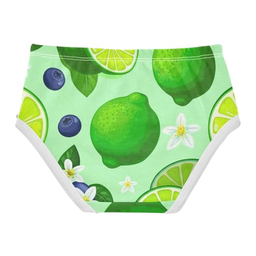 Green Lemon Limes Blueberry Fruits Girls Underwear Toddler 2t Cotton Little Girl Panties Fancy Briefs Kids Undies2