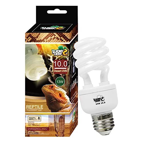 LUCKY HERP Lâmpada fluorescente compacta Desert UVA UVB 10.0 13W