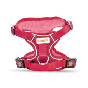 KIBBO Premium Reflective Vest Dog Harness | Soft Breathable Mesh and Oxford Nylon Fabric | Padded Control Handle with No Pull Front & Back Clip | Adjustable Straps & Dual Lock Buckle (Small, Pink)