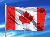 bandera de canada imagen para colorear Bandera de la Canada fabricada en tejido poliéster de 110 gr