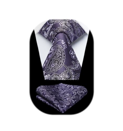 Image of HISDERN Pre Tied Ties for Men Adjustable Mens Tie Classic Paisley Stripe Necktie and Pocket Square Set for Wedding Party