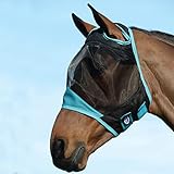 WeatherBeeta ComFiTec Fine Mesh Mask, Black/Turquoise, Cob