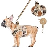 Soft Mesh Small Dog Harness with Leash - Basic Plaid Padded Chest Vest for Kitties, Puppy, Small...