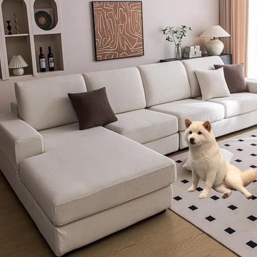 􂦂Xgb`\t@Jo[iZNVi\t@pj~L^\t@pXbvJo[ hNbV ybgpƋveN^[(Beige,Large M double)