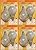 SYLVANIA (8 Bulbs) 40524 - LED A15 A Line Pear LED Light Bulb, Candelabra Base, 2700K Soft White Glass LED Light Bulb