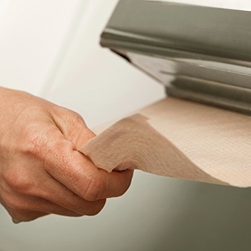 Scott 100% Recycled Fiber Multifold Paper Towels (01801), 9.2” x 9.4”, Brown, 16 Clips/Case, 250 Sheets/Clip, 4,000 Towels/Case
